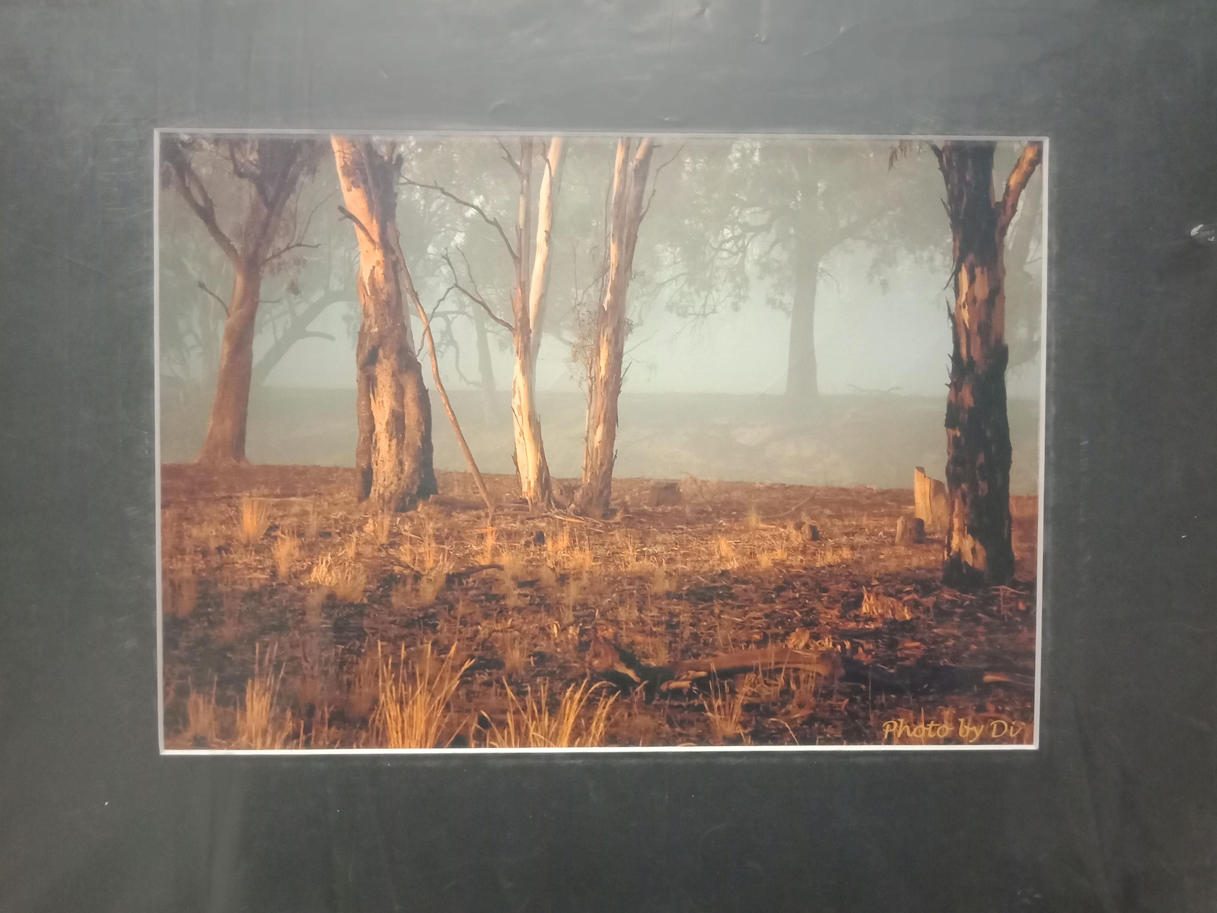 dh-sunrise-through-the-fog-1